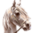 骑马与砍杀2：霸主-Mount & Blade II： Bannerlord