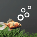 水族箱设计师-Aquarium Designer