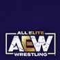 全精英摔角：永远的战斗-AEW： Fight Forever