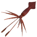 鱿鱼攀峰-Squidding Over It