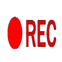 尖叫或死亡-Scream or Die