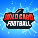 野卡橄榄球-Wild Card Football